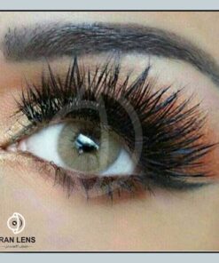لنز رنگی عسلی خاکی بدون دور