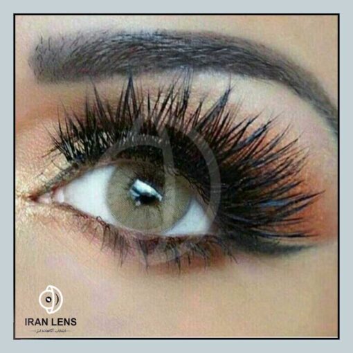 لنز رنگی عسلی خاکی بدون دور