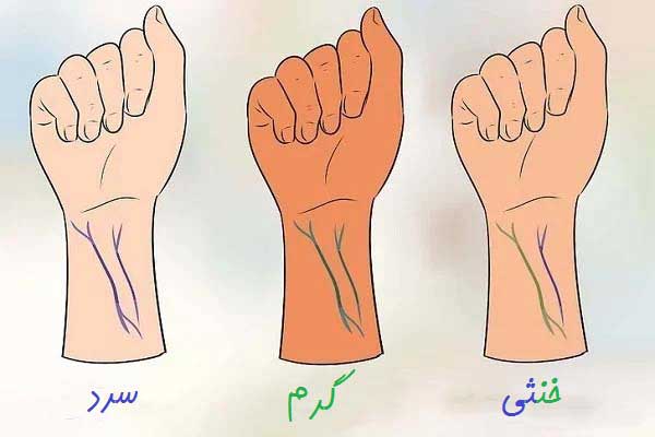 پوست شما، تن سرد دارد یا تن گرم؟